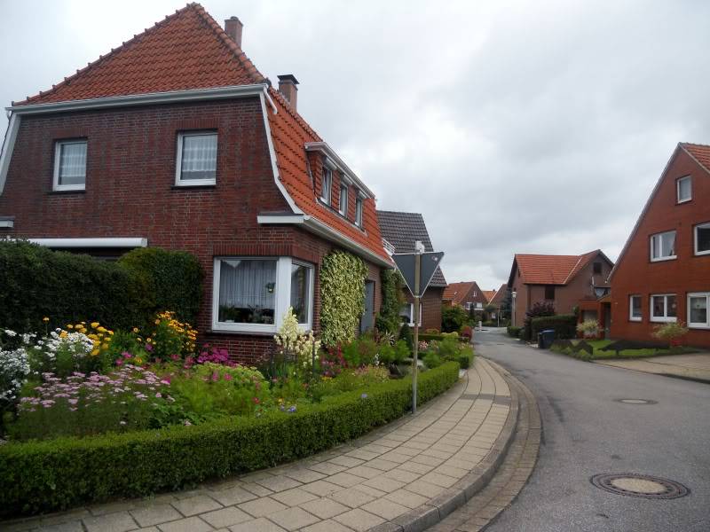 DSCN8722.jpg