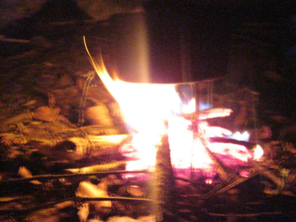 IMG_1709.jpg