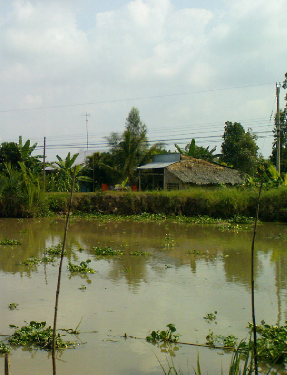 2009-02-vuon-co-mong-tho-05.jpg