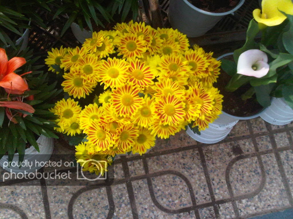 IMG-20111122-00161.jpg