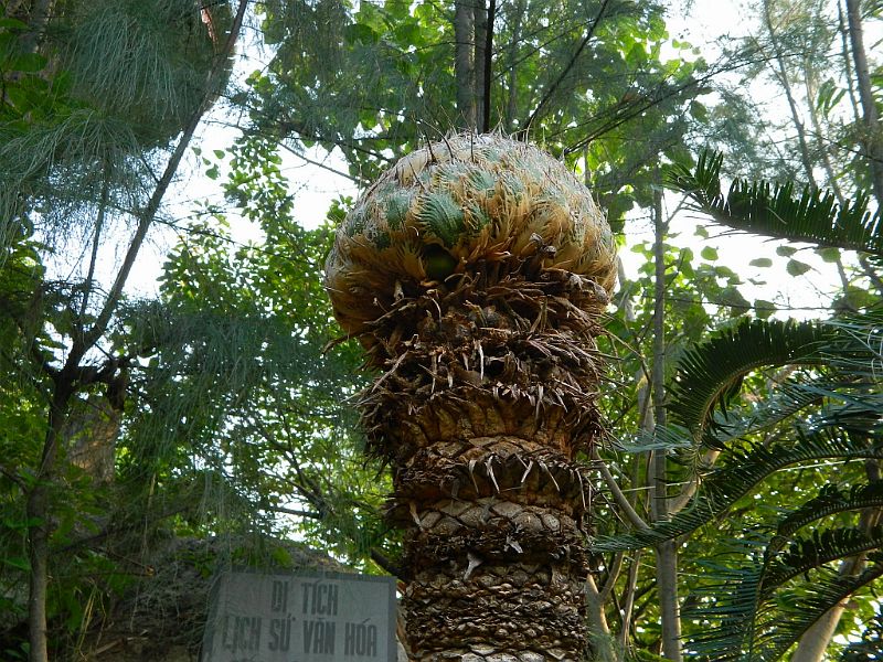DSCN2761.jpg