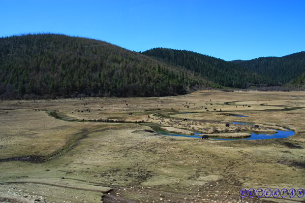 shangri-la235.jpg