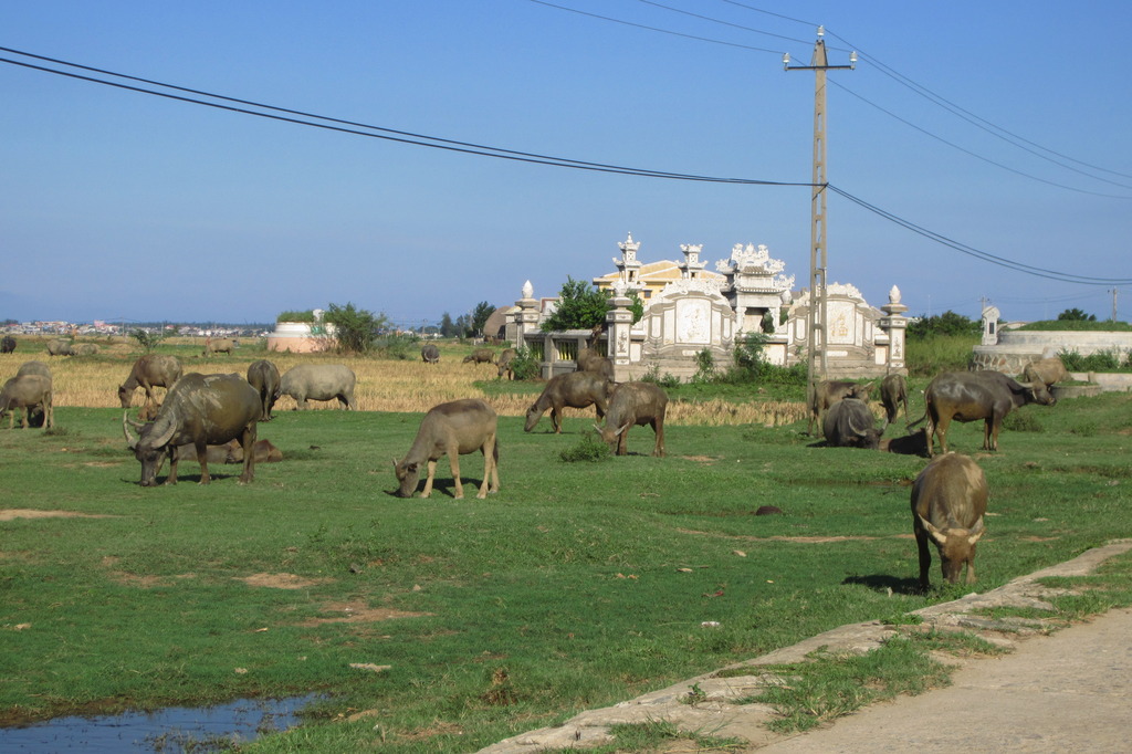 IMG_4192_zpsj5fp1g8l.jpg
