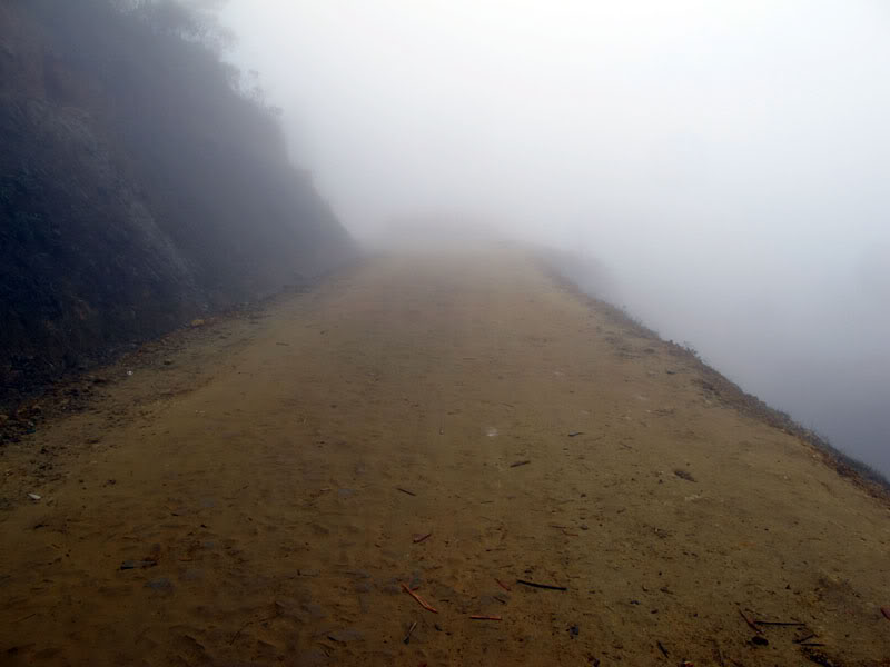HongNgai2011333.jpg