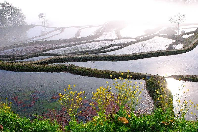 yuanyang_terraced_fields.jpg