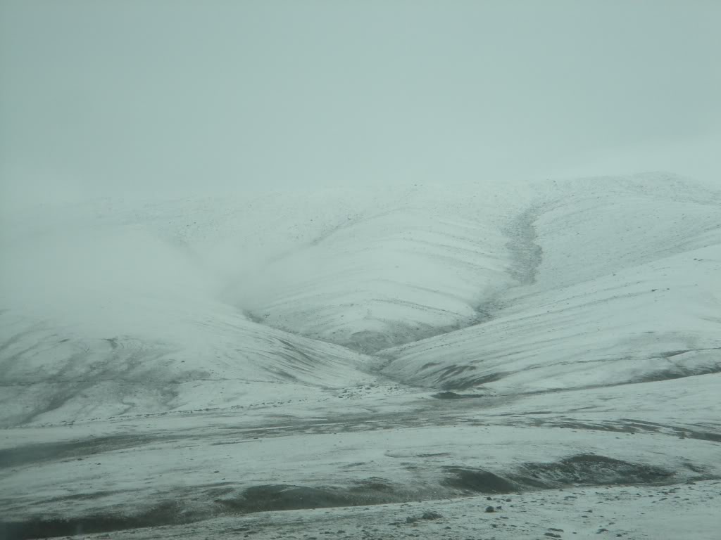 DSC039.jpg