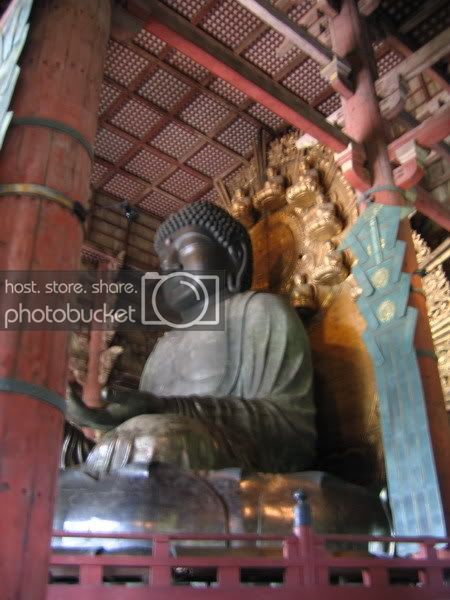 IMG_0693_resize.jpg