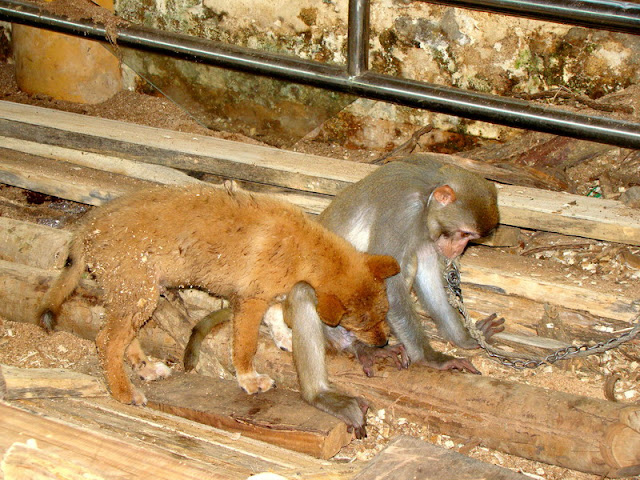 DSC02794.JPG