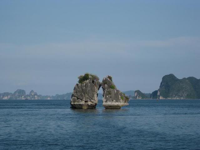 IMG_6986.jpg
