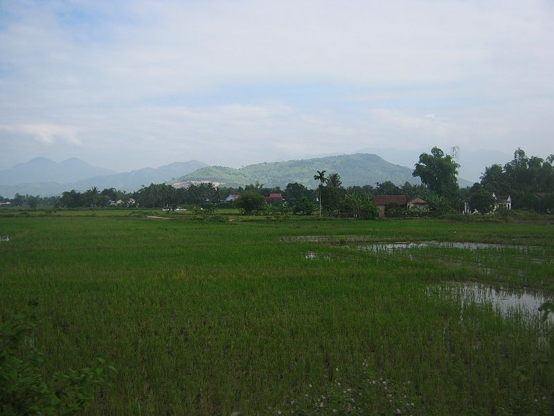 IMG_8907.jpg