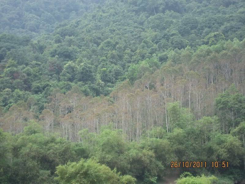 IMG_0689.jpg