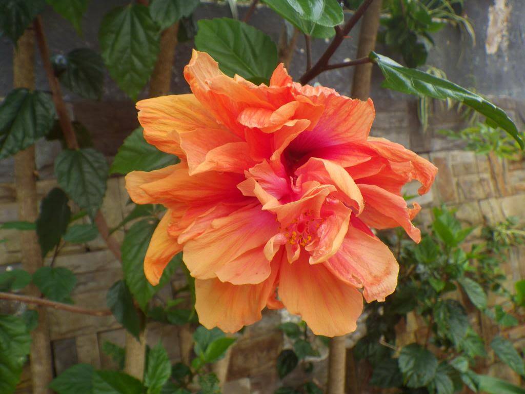 46_zps831d2df6.jpg