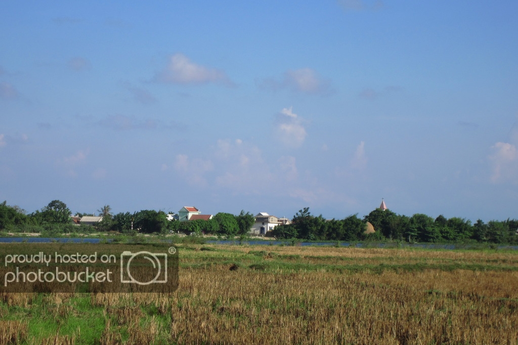 IMG_4176_zpsgtp6mhi1.jpg