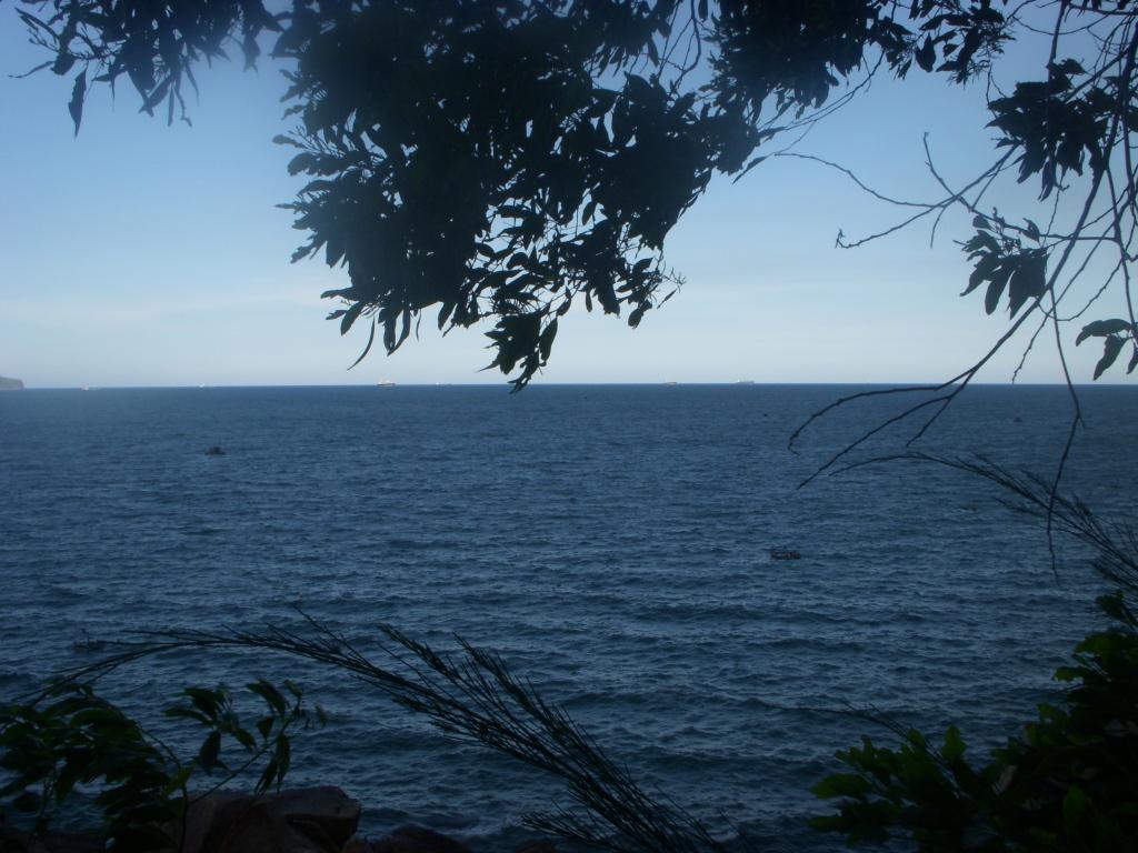 DSCN5769_zpse7b6cd91.jpg