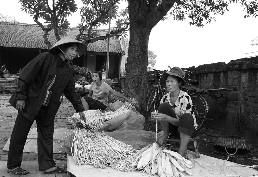 langchuong5.jpg