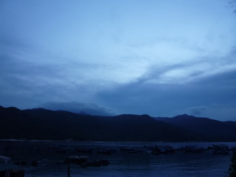 P1010603800x600.jpg
