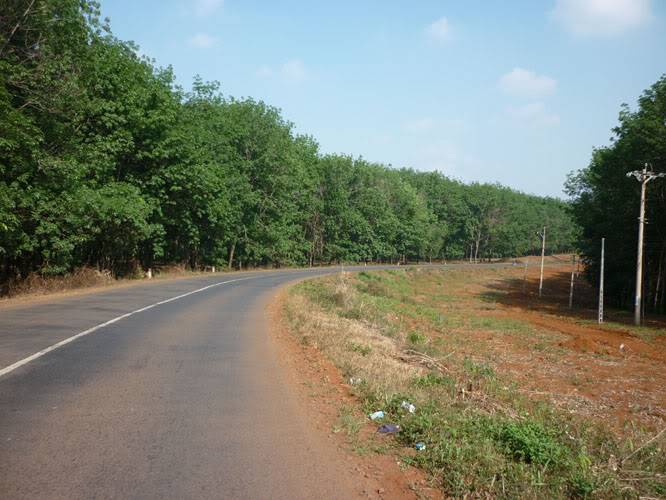 P1000869.jpg
