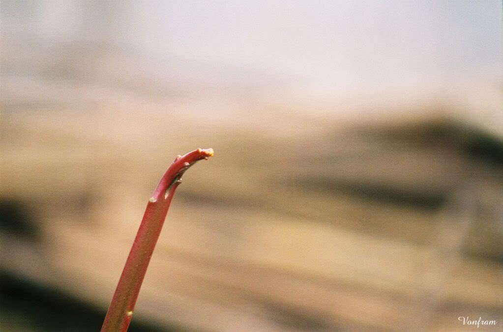 00022-33.jpg