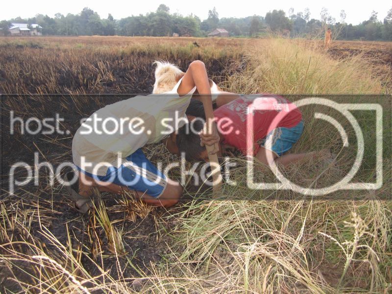 IMG_0878_zpsf7d596d0.jpg