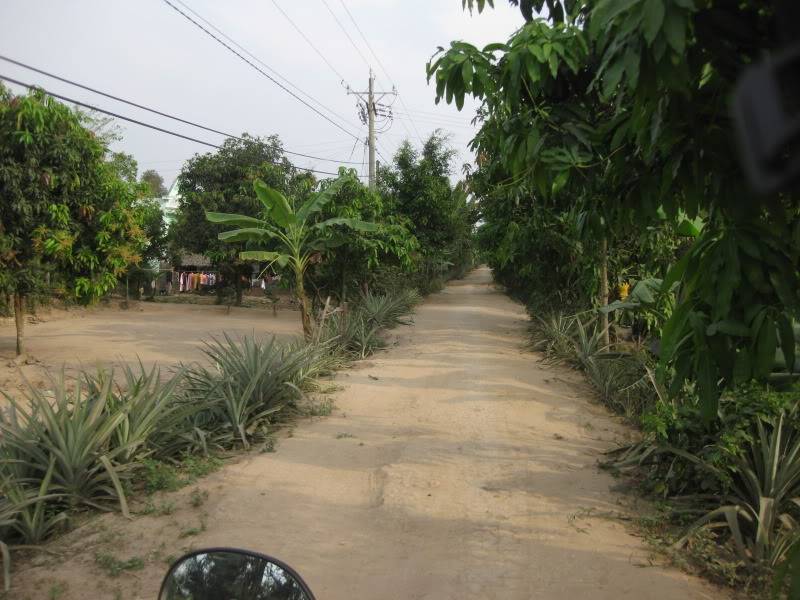 DongThapTET2011474.jpg