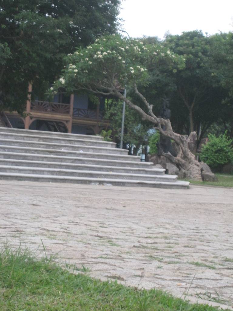 IMG_5852.jpg
