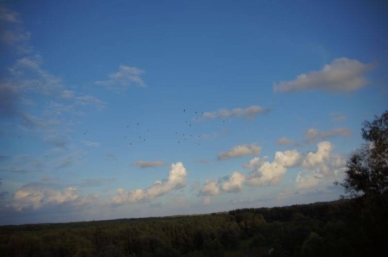 DSC00699.jpg