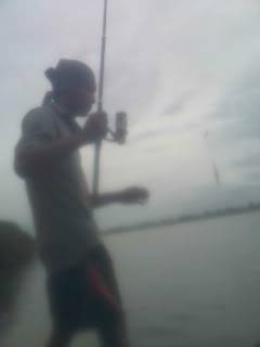 IMG349.jpg