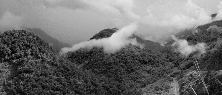 _DSC0065bw.jpg