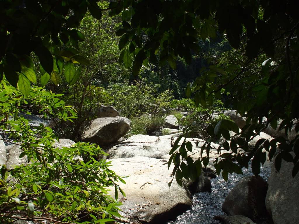 DSCF42651.jpg