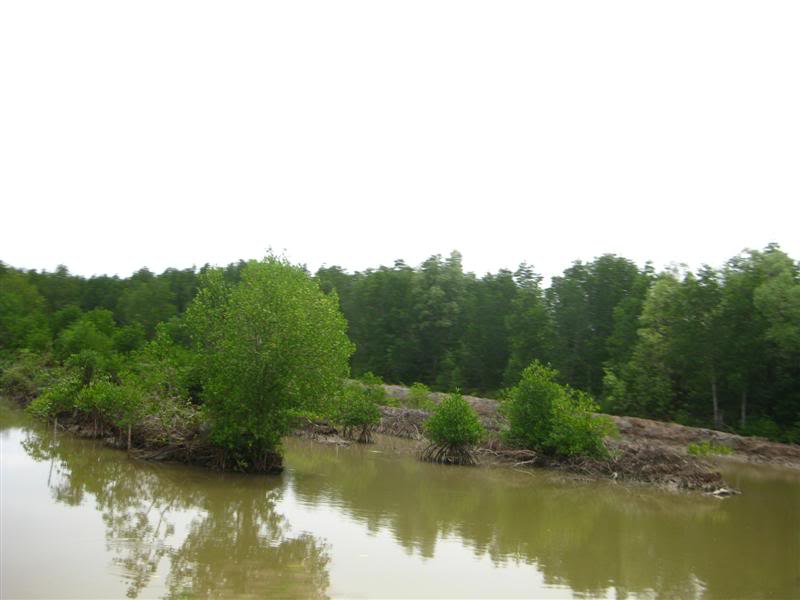 IMG_6575Medium.jpg