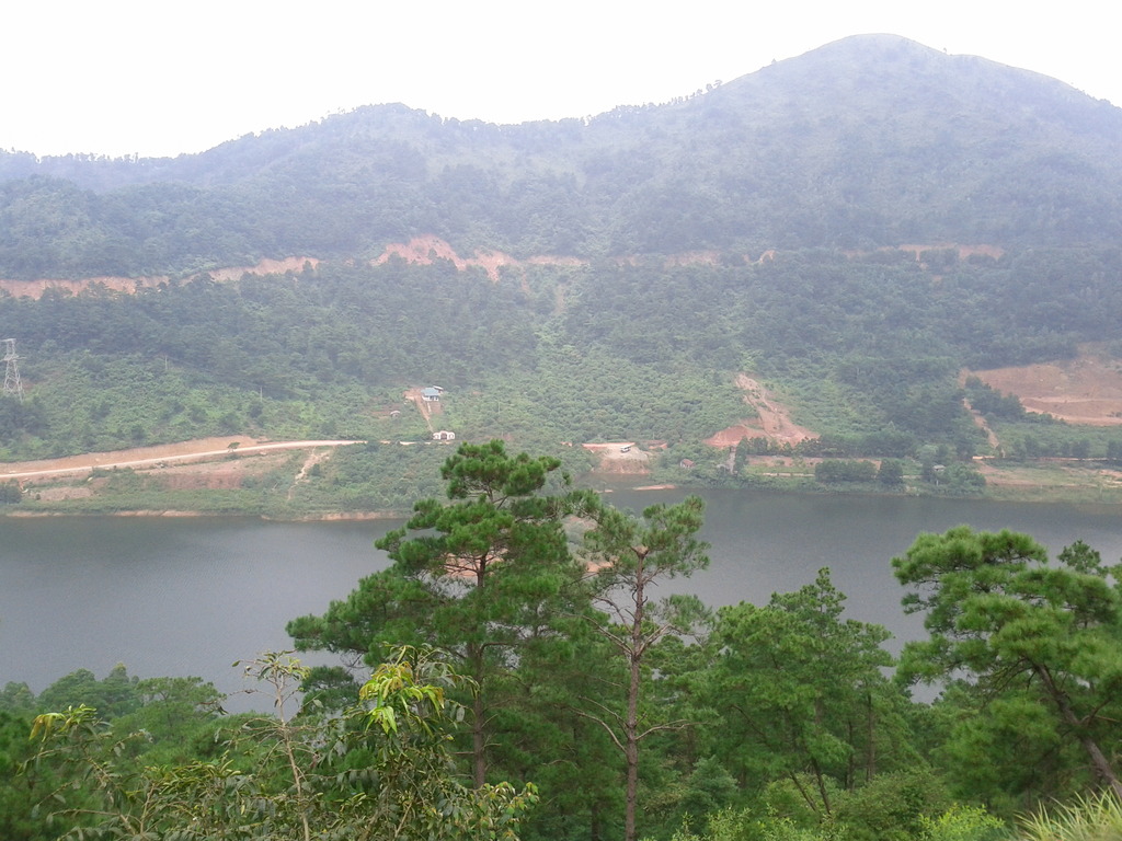 IMG_20140816_111137.jpg