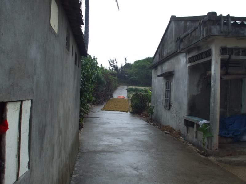 DSCF7006.jpg