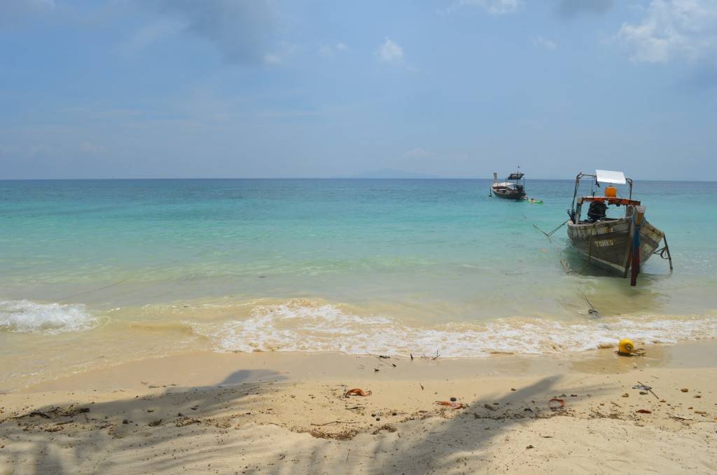 DSC_1977.jpg