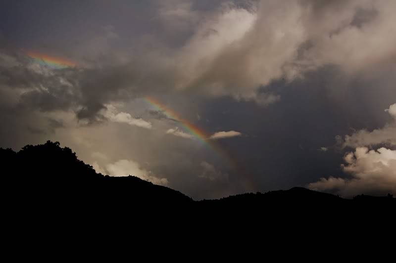 DSC_9646.jpg