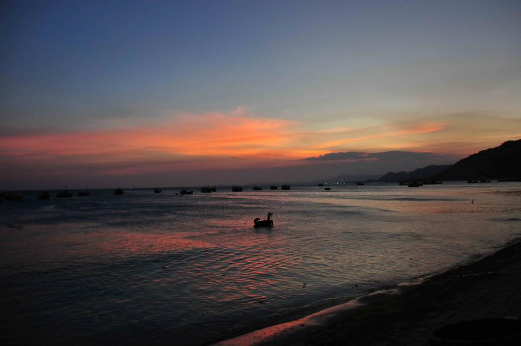 DSC_3321_zps5b116e66.jpg