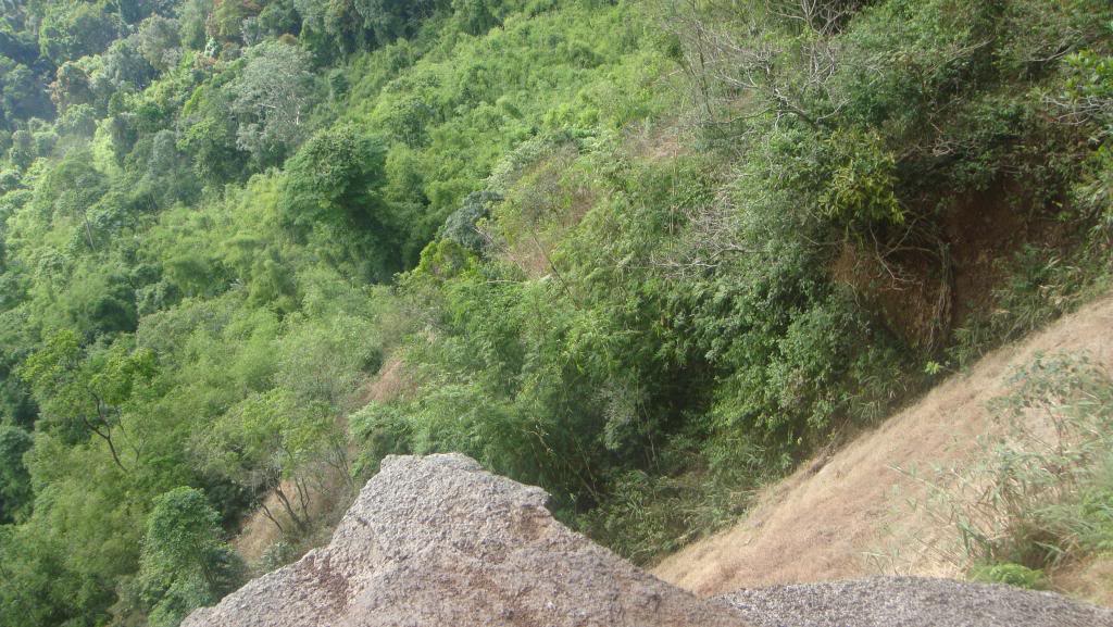 DSC06262_zpsba001844.jpg