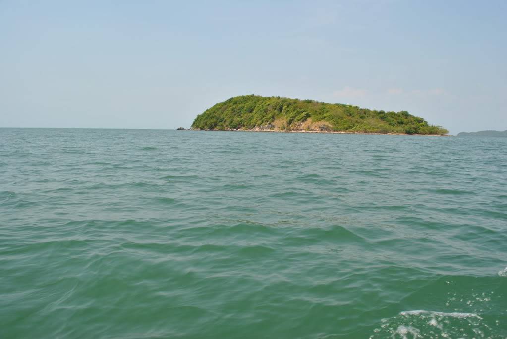 DSC_0162_resize.jpg