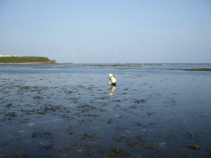 DSCF7087.jpg