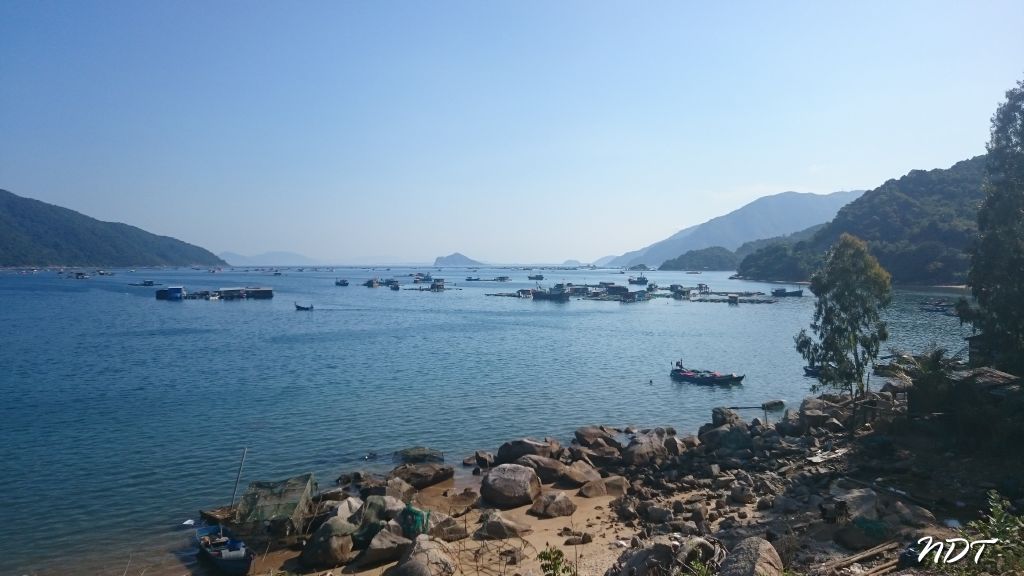 DSC_4095.jpg
