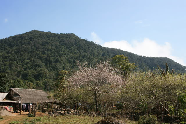 longluong22.jpg
