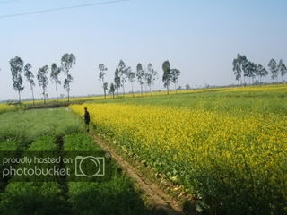 DSCF9171.jpg