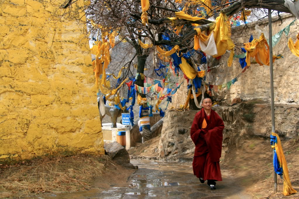 Datong677.jpg