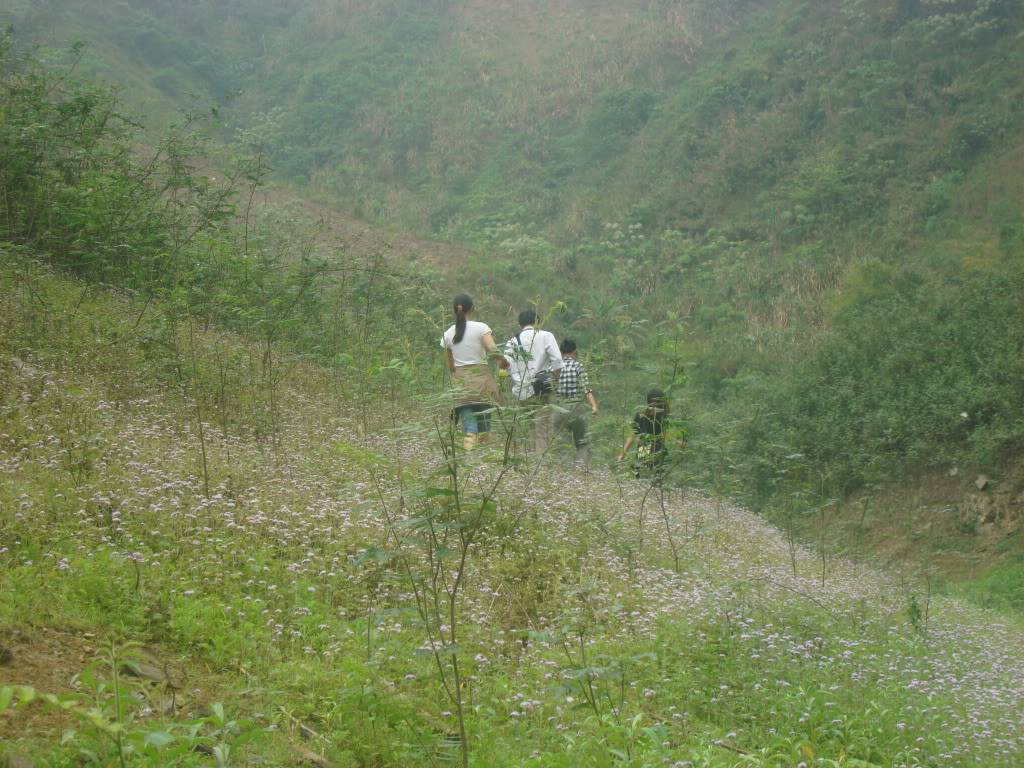 DSC05637.jpg