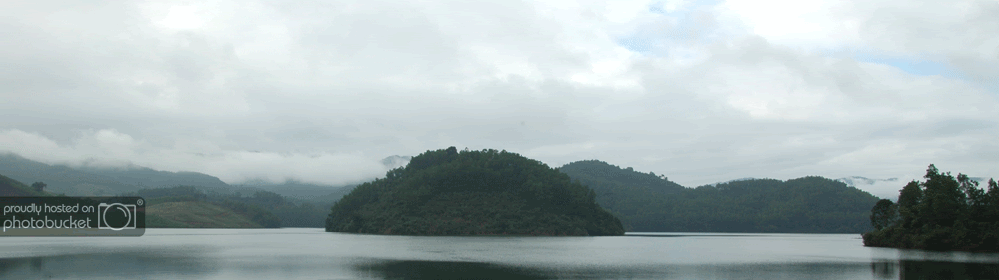 DSC_9969.gif