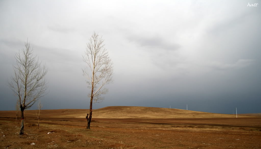 Datong754.jpg