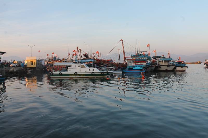 IMG_4826.jpg