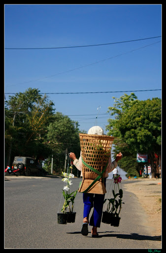 _MG_3367.JPG