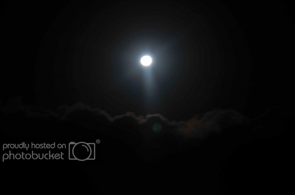 DSC_2445_zps1c1a3ee5.jpg