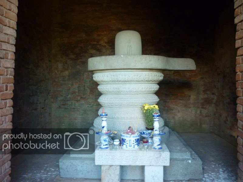 P1000239800x600.jpg