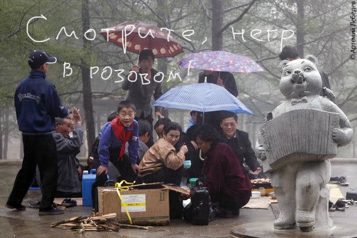_MG_0520.jpg